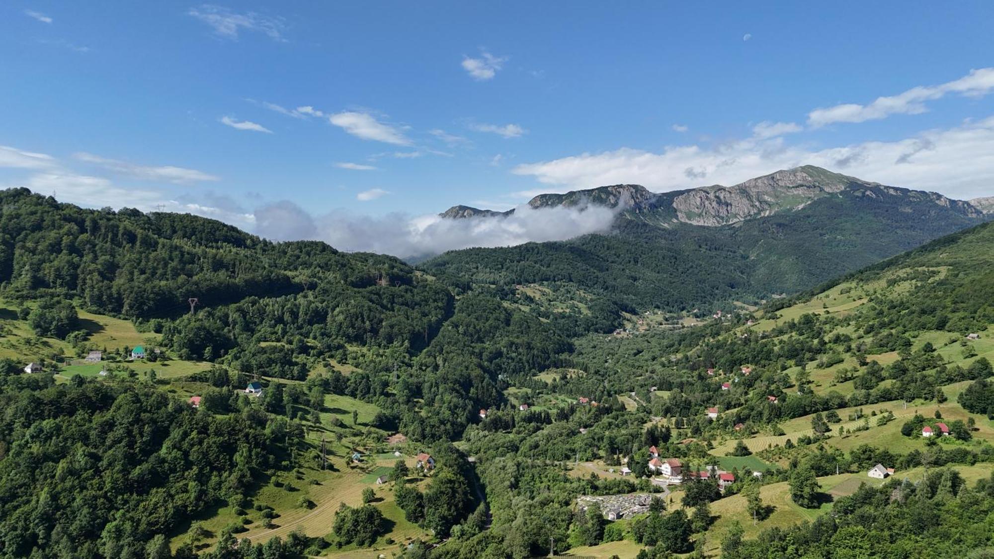 Fern Farm Eco Resort Mojkovac Exterior photo