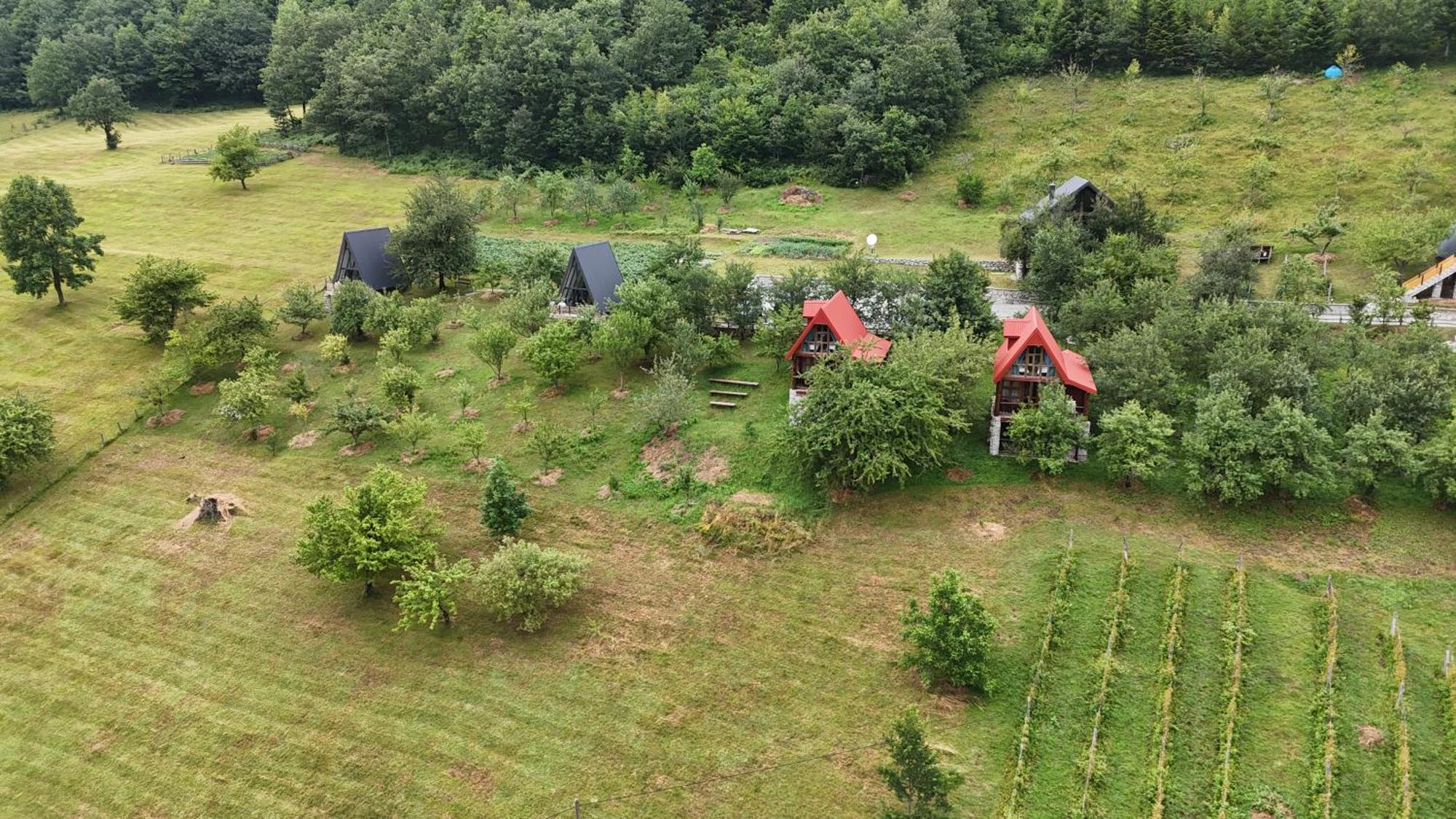 Fern Farm Eco Resort Mojkovac Exterior photo