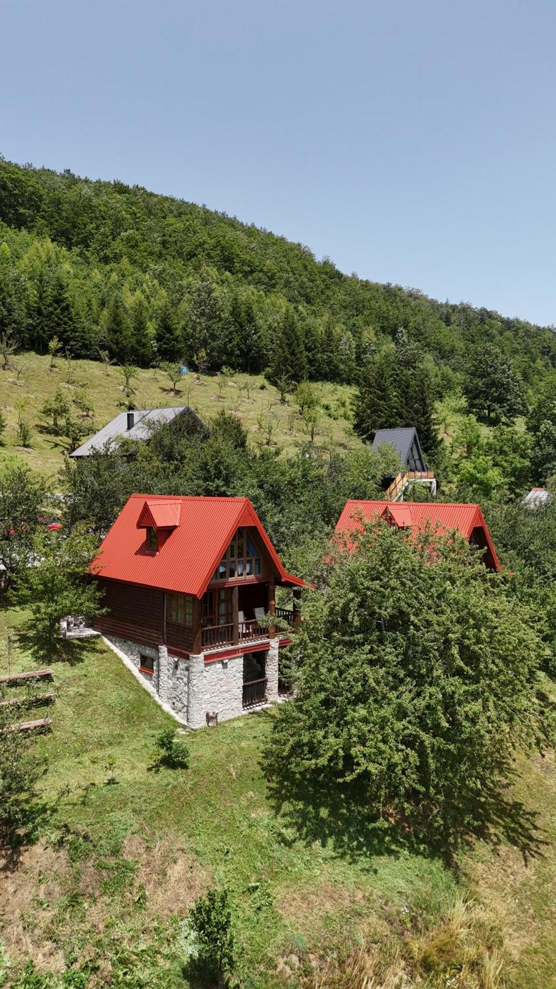 Fern Farm Eco Resort Mojkovac Exterior photo