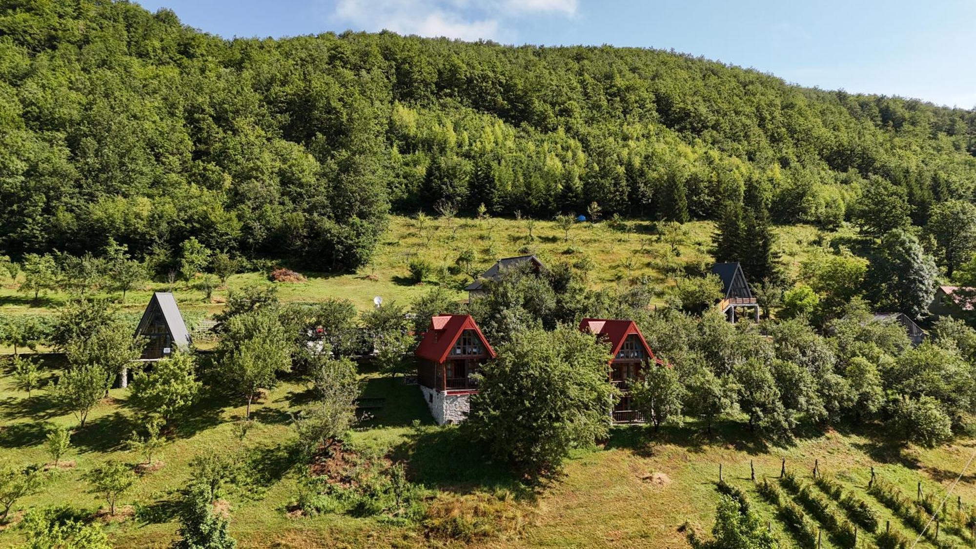 Fern Farm Eco Resort Mojkovac Exterior photo